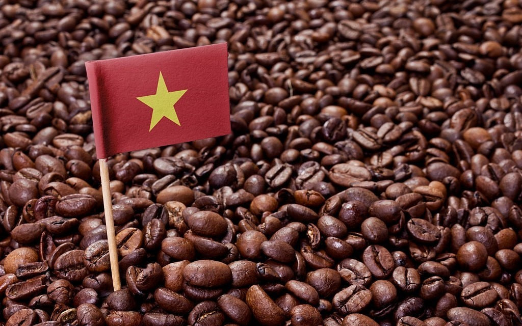 វៀតណាមបានបង្កើតកំណត់ត្រាជាប្រវត្តិសាស្ត្រជាមួយនឹងការនាំចេញកាហ្វេលើសពី 7 ពាន់លានដុល្លារ ក្នុងឆ្នាំ២០២៥ នេះ