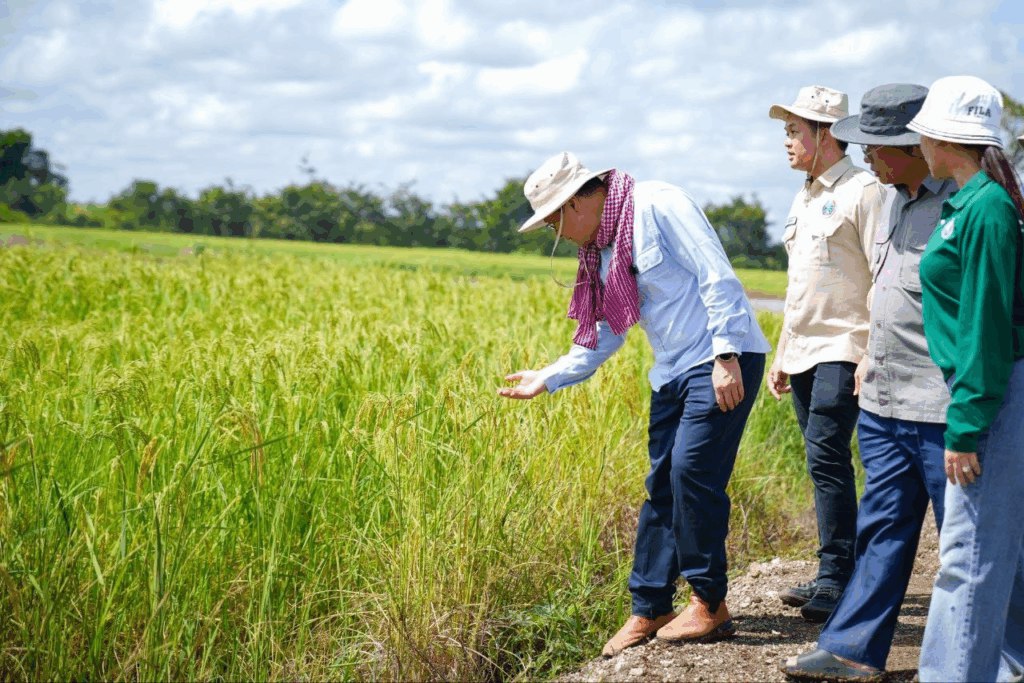 ដំណឹងល្អ! រាជរដ្ឋាភិបាលសម្រេចបញ្ចេញថវិការ៤០លានដុល្លារ សម្រាប់ប្រមូលទិញស្រូវពីកសិករ ក្នុងរដូវប្រមូលផល នាចុងឆ្នាំ២០២៥ និងដើមឆ្នាំ២០២៦