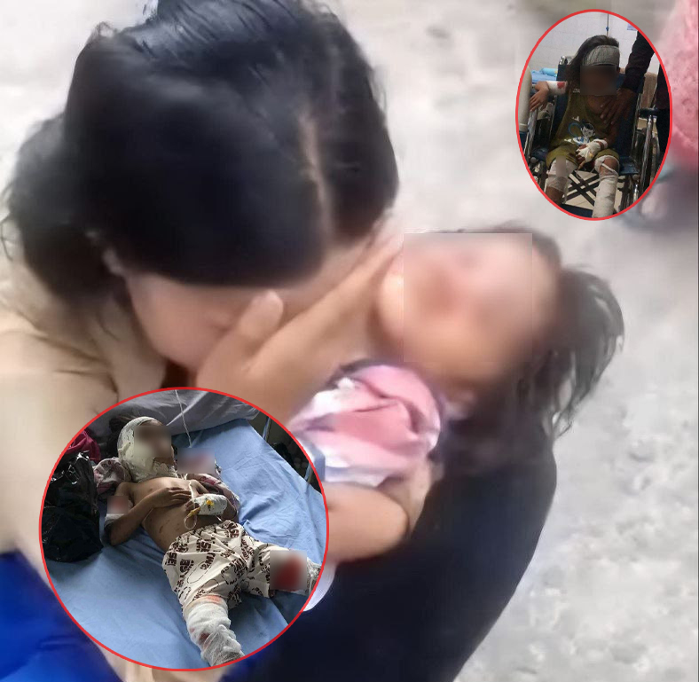 សិស្សសាលាស្រីម្នាក់ត្រូវឆ្កែ “ហាសស្គី” ចំនួន ០៧ ក្បាលព័ទ្ធខាំ បម្រុងហែកសាច់ស៊ី ខេត្តកោះកុង កំពុងបង្កការភ្ញាក់ផ្អើល និងព្រួយបារម្ភក្នុងសហគមន៍