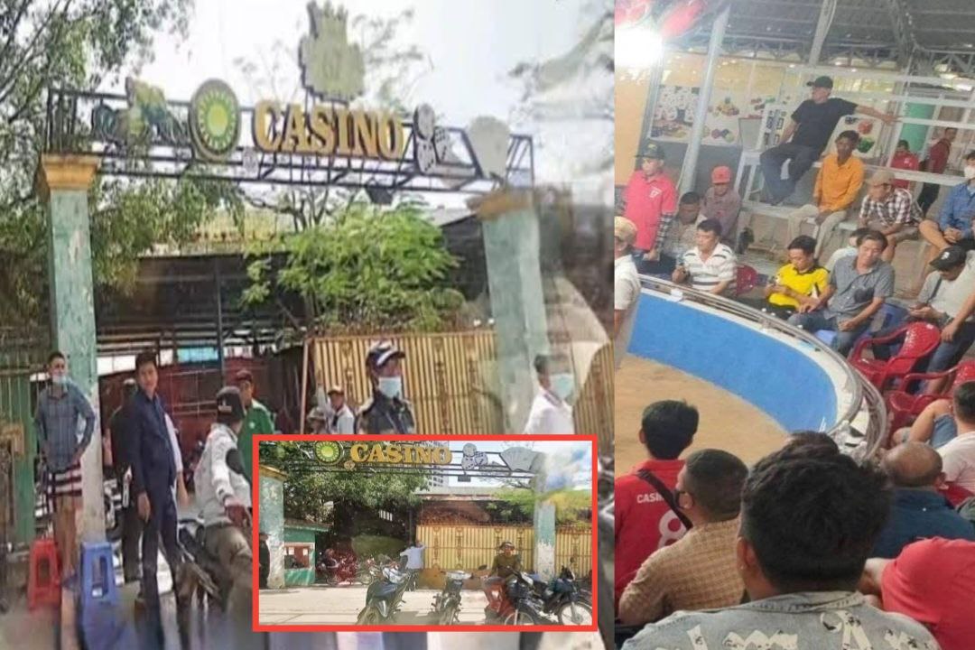 សង្វៀនជល់មាន់ដ៏ធំជ្រកក្រោមស្លាក កាស៊ីណូ យីហោរ «៦៧» ជាប់ព្រំដែនកម្ពុជា-វៀតណាម ក្នុងស្រុកចន្ទ្រា ចាប់ផ្តើមបើកដំណើរការឡើងវិញ ខណៈអាជ្ញាធរមានសមត្ថកិច្ចគ្រប់លំដាប់ថ្នាក់រក្សាភាពស្ងៀមស្ងាត់!