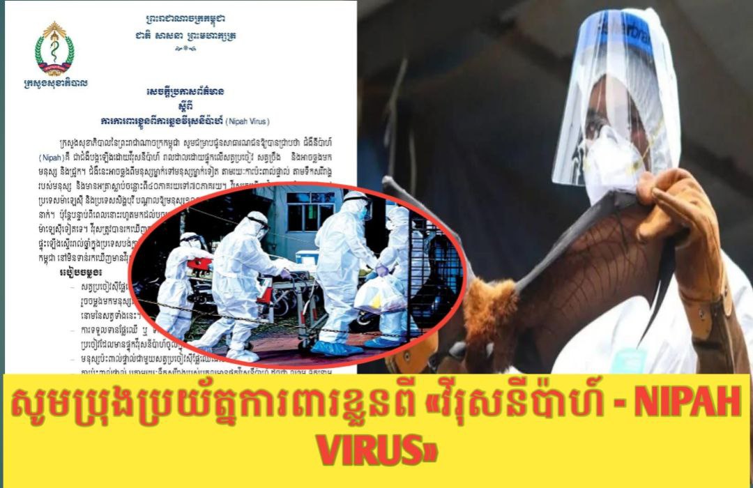 សូមប្រុងប្រយ័ត្ន! ក្រសួងសុខាភិបាល ក្រើនរំលឹកប្រជាពលរដ្ឋអំពីវិធានការការពារខ្លួនពី «វីរុសនីប៉ាហ៍ - Nipah Virus»