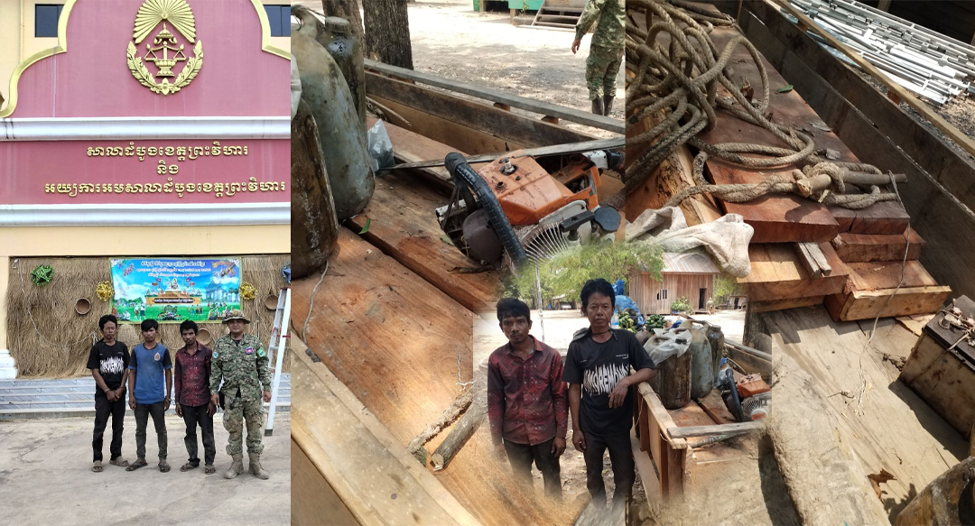 តុលាការខេត្តព្រះវិហារ បានសម្រេចឃុំខ្លួនជនសង្ស័យ ០៣នាក់ ពាក់ព័ន្ធនឹងបទល្មើសកាប់ឈើដោយខុសច្បាប់ ក្នុងដែនជម្រកសត្វព្រៃឆែប-ព្រះរការ