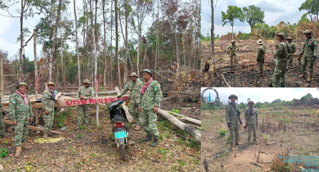 តំបន់ការពារ «ព្រៃឡង់» រងការកាប់ទន្ទ្រានយ៉ាងធ្ងន់ធ្ងរ ខណៈអ្នកល្មើសប្រើល្បិចដាំស្វាយចន្ទី ដើម្បីបាំងមុខកាន់កាប់ដីព្រៃដោយខុសច្បាប់!