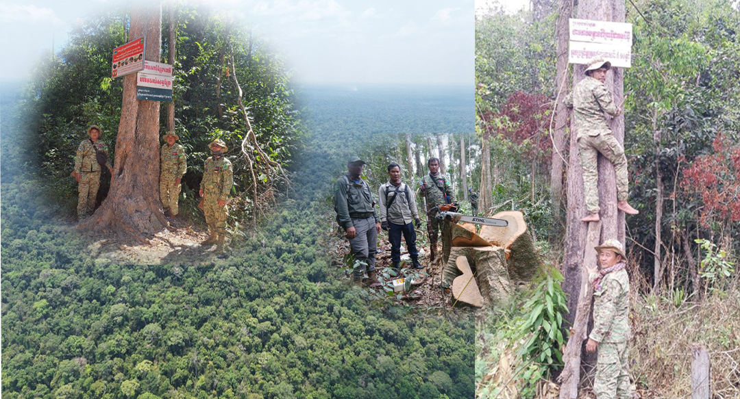 រយៈពេល ៤ខែ ឆ្នាំ២០២៦ មន្រ្តីបរិស្ថាន ចុះទប់ស្កាត់ និងបង្រ្កាបបទល្មើសធនធនធានធម្មជាតិ ១៧៨ ករណីនៅក្នុងតំបន់ដែនជម្រកសត្វព្រៃ «ព្រៃឡង់»