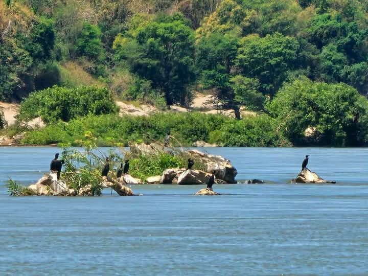 ភ្ញៀវទេសចរ ដែលចូលទស្សនាផ្សោតខេត្តក្រចេះ ជួយសហគមន៍គ្មានចំណាកស្រុក