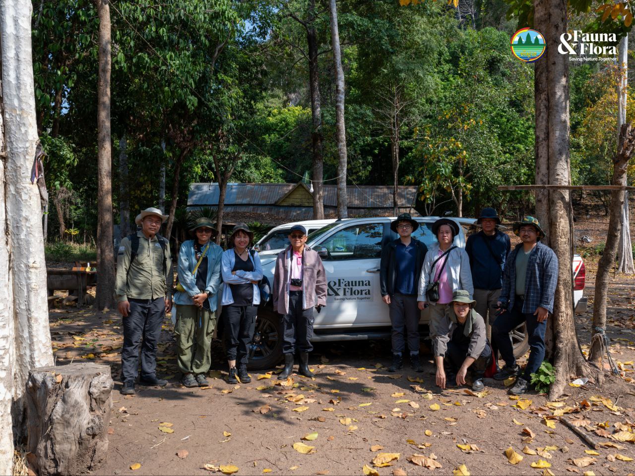 រកឃើញ «សត្វម្រើមព្រះ» ចំនួន ០៣ ប្រភេទ ជាកំណត់ត្រាថ្មីសម្រាប់ពិភពលោក នៅតំបនភ្នំថ្មកំបោរ ក្នុងខេត្តបាត់ដំបង និងខេត្តកំពត