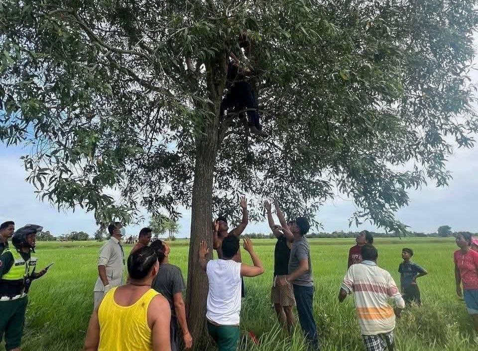 តណ្ហាពុះកញ្ជ្រោល! ស្រវឹងស្រឿងសុំប្រពន្ធរួមមេត្រីនាងអត់ព្រមផ្ទុះជម្លោះពាក្យសម្តីនឹងគ្នា បុរសជាប្តីរួចរត់ទៅចង.ក សម្លាប់ខ្លួនលើដើមអាកាស្យាក្នុងវាយស្រែ