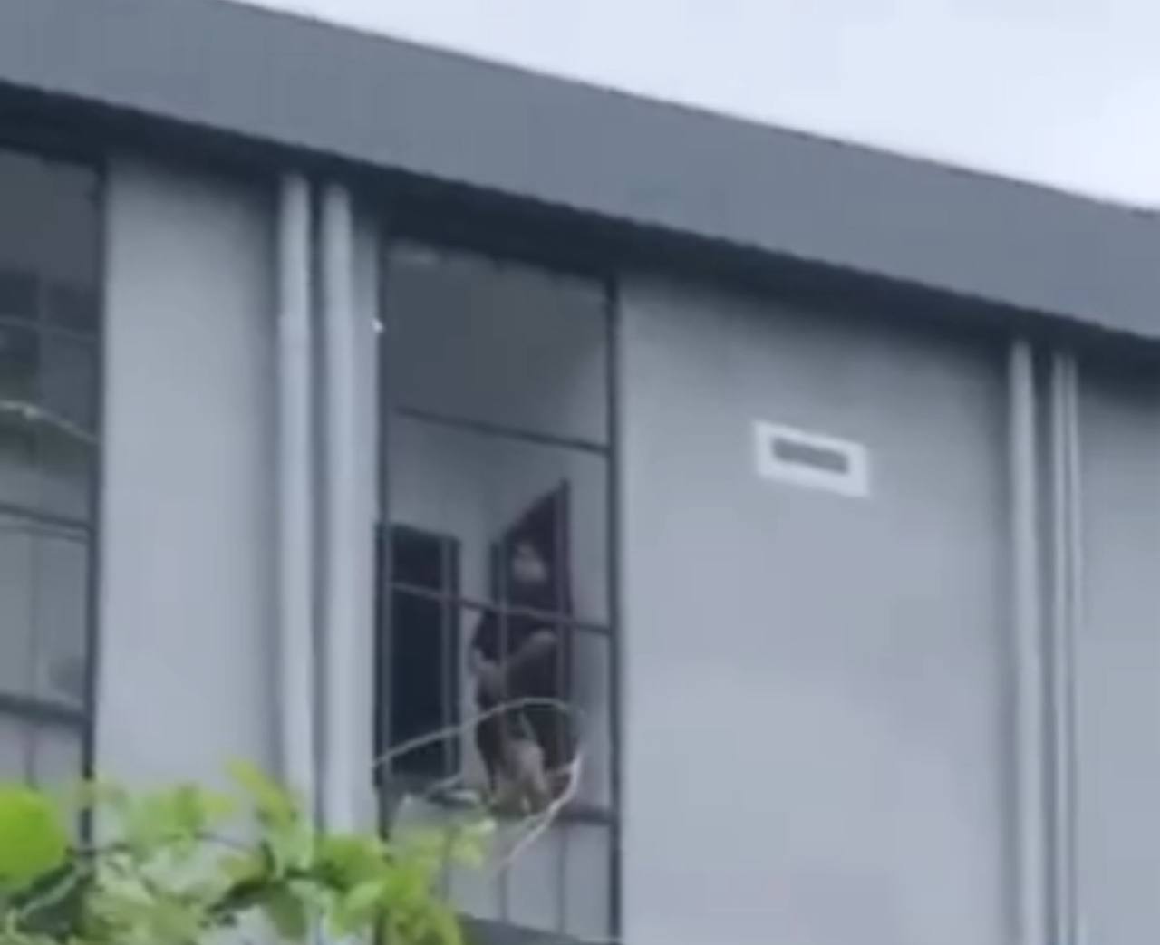 អាជ្ញាធរចុះត្រួតពិនិត្យទីតាំងអគារមួយកន្លែងកណ្តាលក្រុងប៉ោយប៉ែត សង្ស័យបង្ខាំធ្វើទារុណកម្ម បន្ទាប់បែកធ្លាយវីដេអូបង្ហាញជនបរទេសត្រូវការជំនួយបន្ទាន់